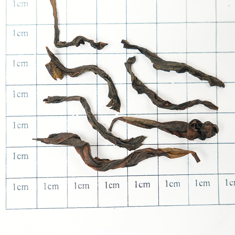 Rock Tea Narcissus | Orchid and Angelica Nourish the Heart