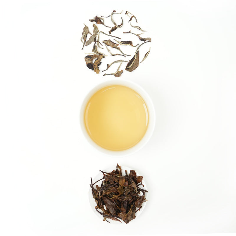 Chen Yun San Die | Zhenghe Laobai