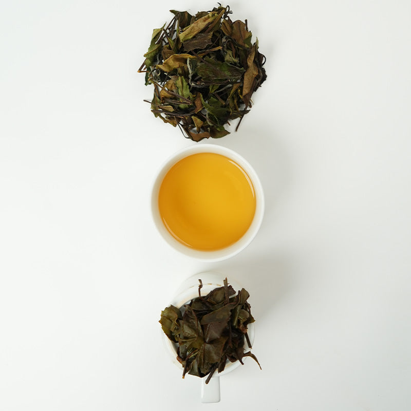2024 Autumn Harvest Shoumei White Tea | Sun-dried, woody and sweet, high-mountain harvest