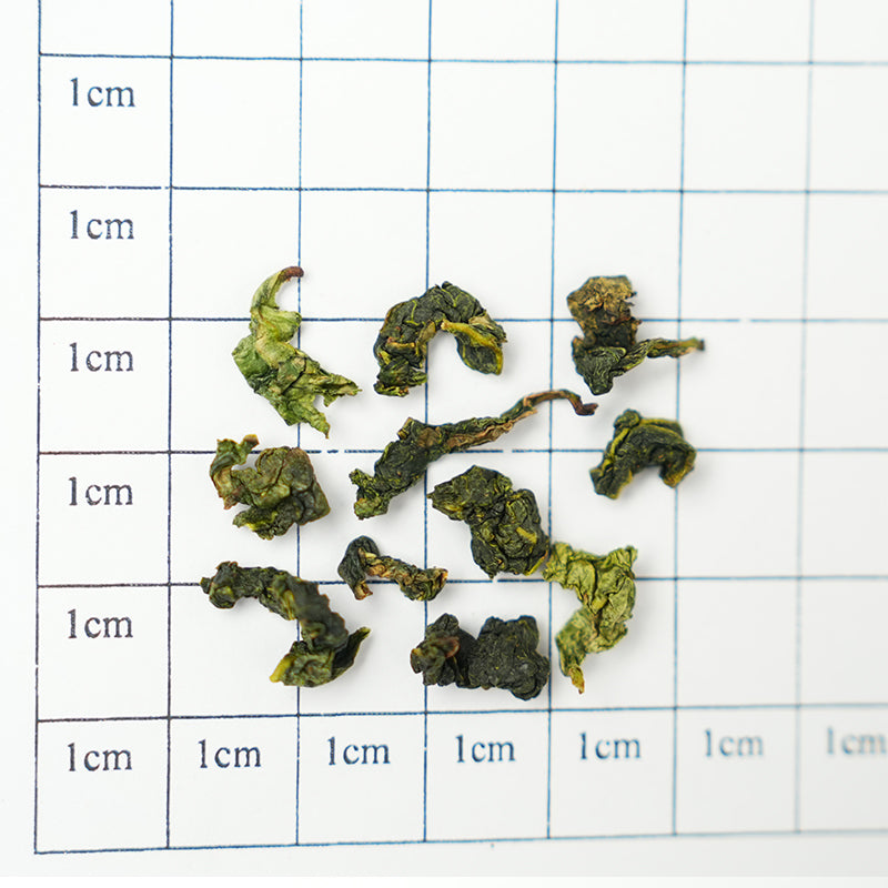 "Orchid fragrance brushes the tongue, Guanyin soothes the throat" | Premium Light Fragrance Tieguanyin | Anxi Core Production Area | Orchid Fragrance, Satin Taste | 2025 Spring Tea Limited Edition