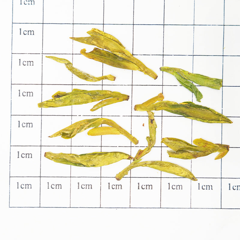 🌸 "A touch of water brings the fragrance of spring" | China's High Mountain Organic Longjing | Bean fragrance and orchid charm, refreshing and penetrating | Certified Organic | First harvest before Qingming Festival in 2025 |