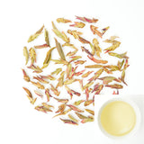 Wild Purple Buds | Plum Blossom Melody in Three Layers