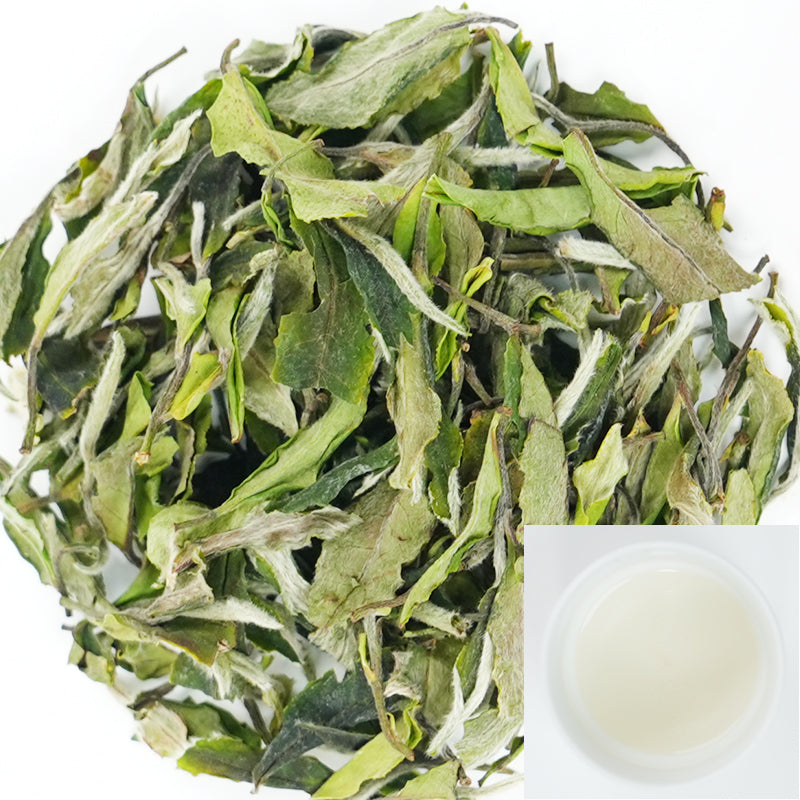 Fuding White Peony | Sun-Dried Beauty