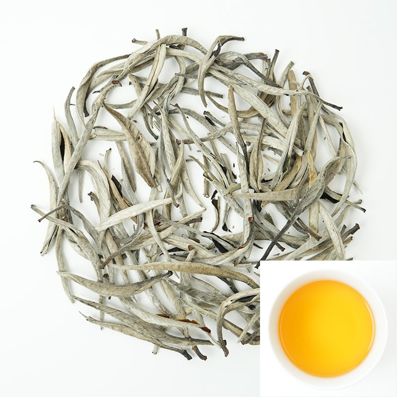 Centennial Silver Needle | Three Rhymes of Time