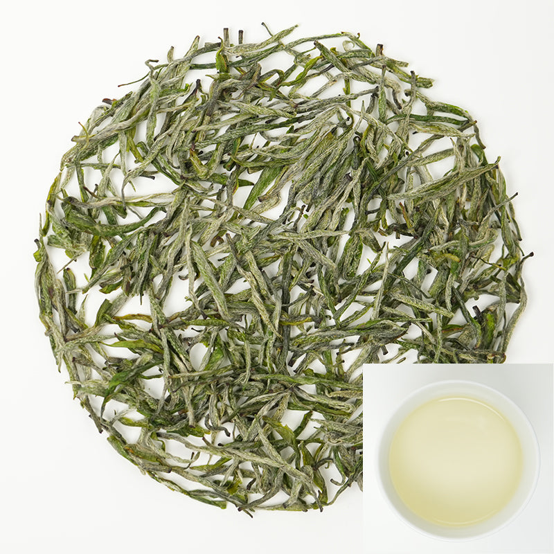 GB Golden Tea Western Hunan Treasure