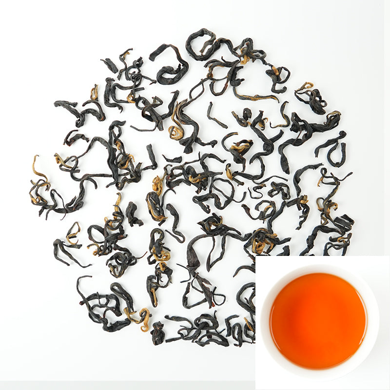 Paulownia Golden Horse Eyebrow | Honey-scented Orchid