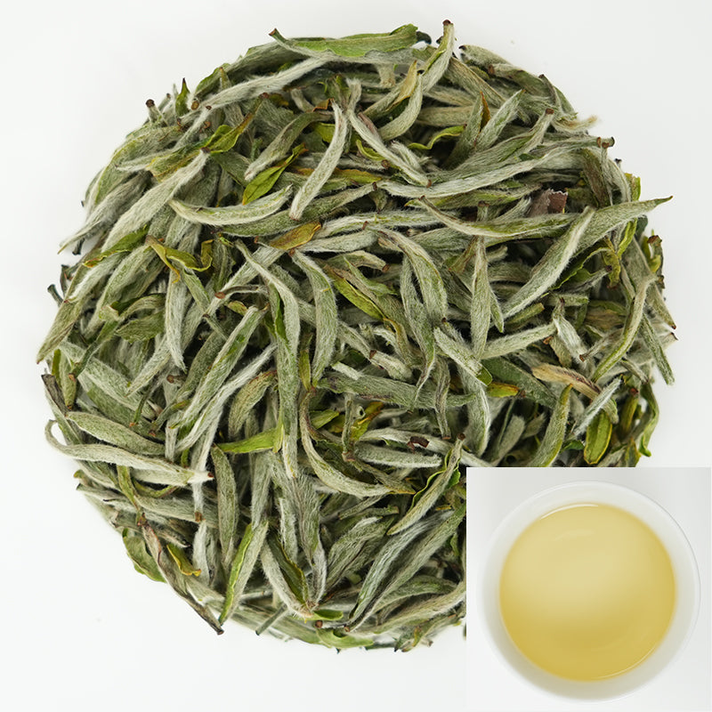 Yunling Silver Needle | Fragrant and Nourishing