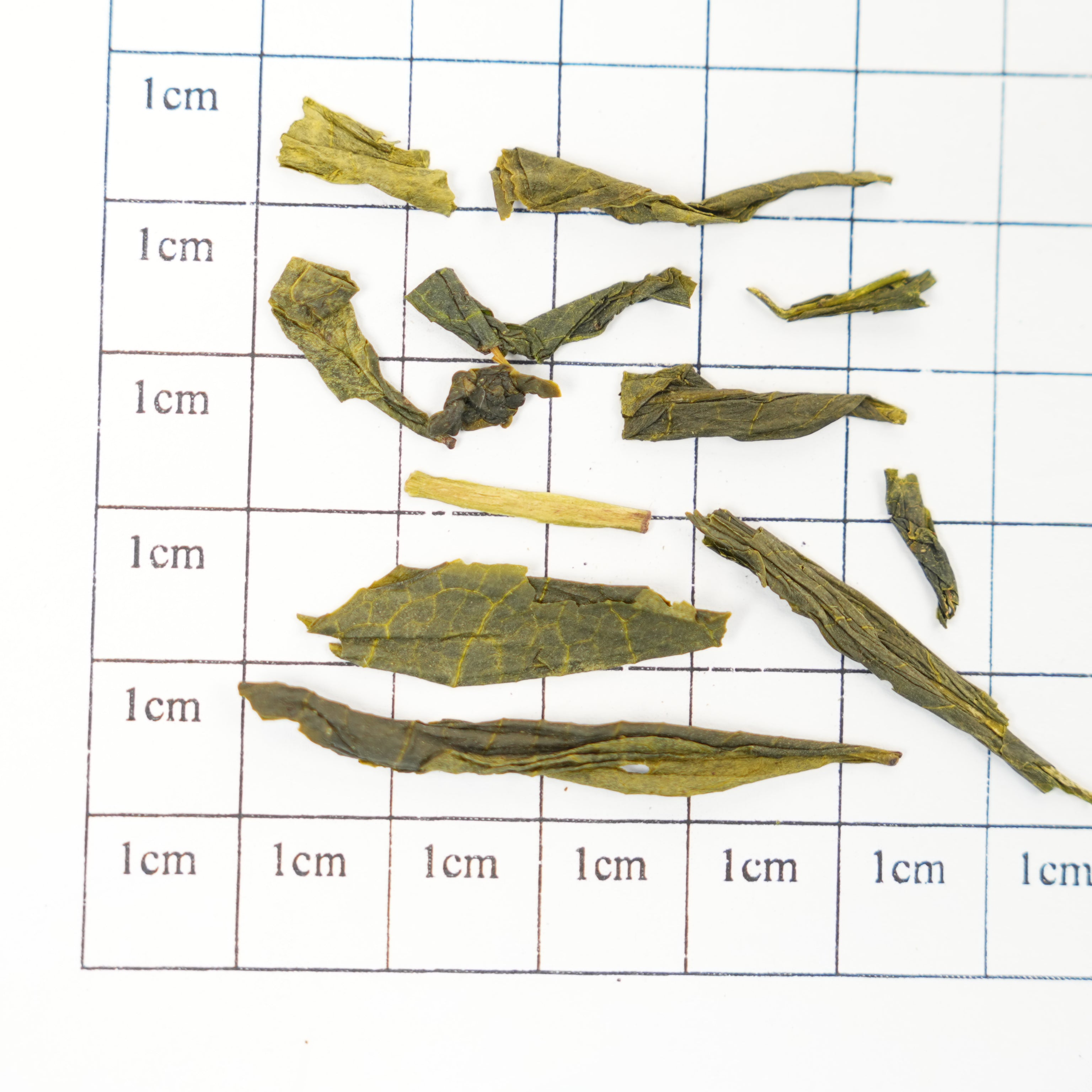 Jiangnan-style tea brewing | Steamed green tea nourishes the heart