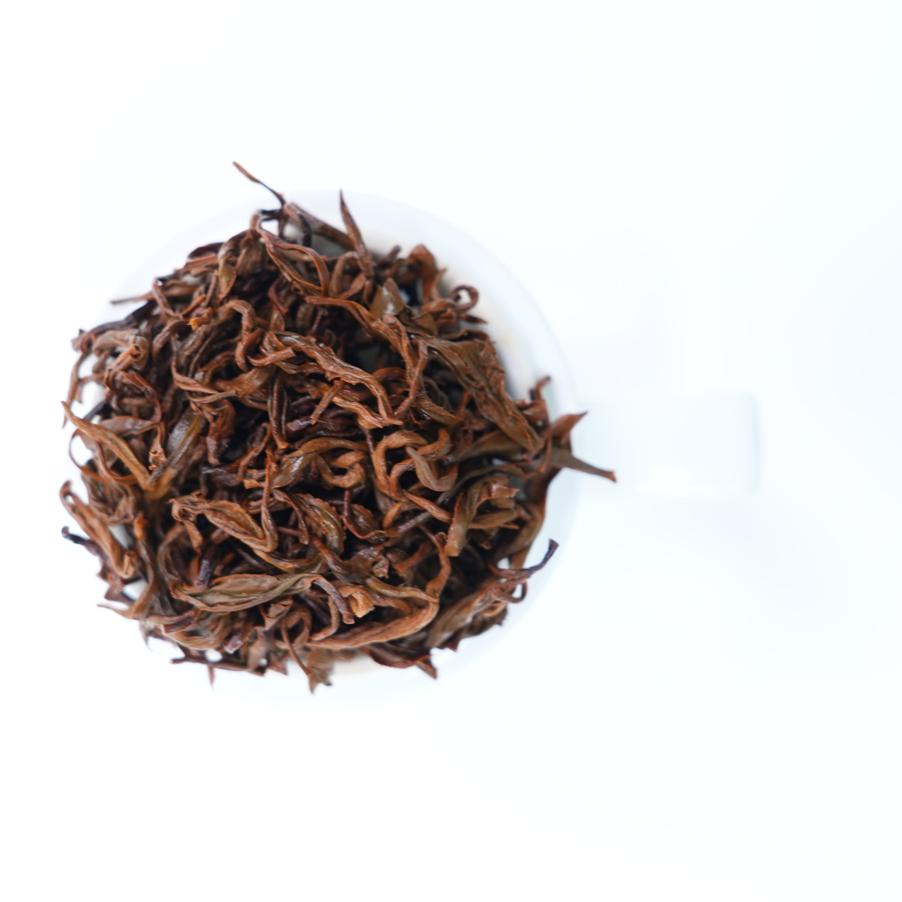 GB Standard Golden Snail Fuding Black Tea