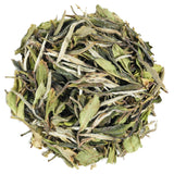 White Tea Sample Shoumei White Peony Silver Needle