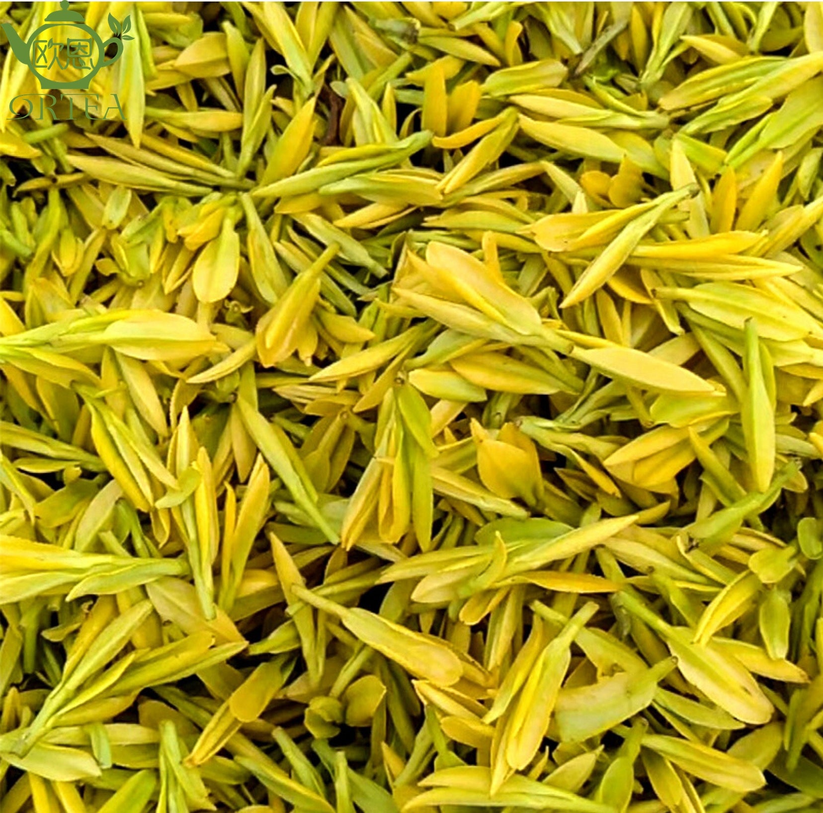 Organic Anji White Tea Green Tea