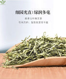 White Snow Xinyang Maojian Green Tea